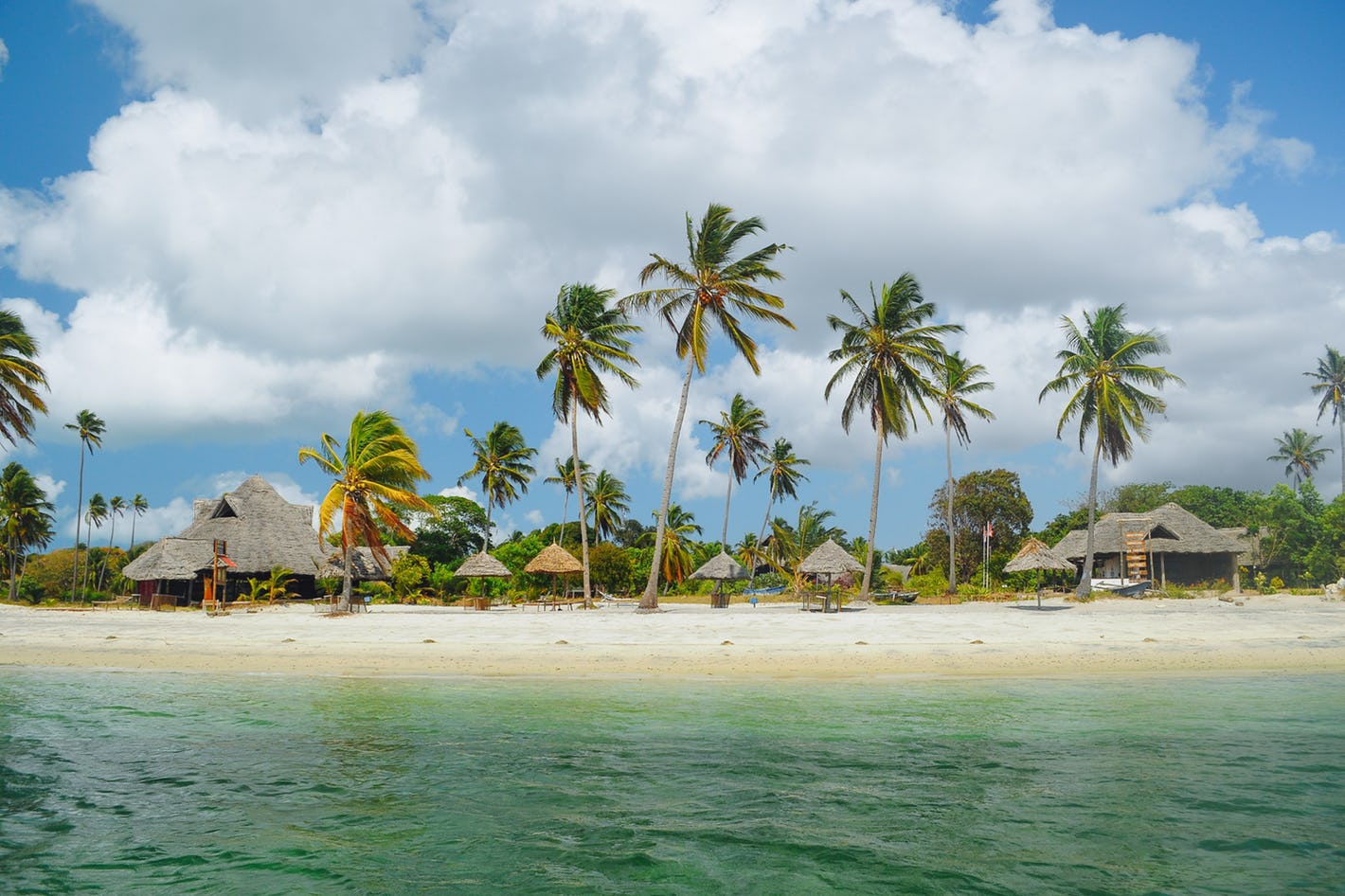 MAFIA ISLAND