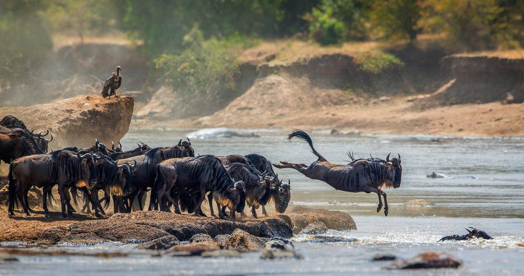 7 Day Tanzania Safari Adventure